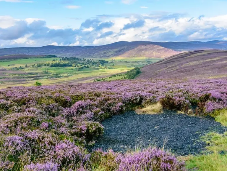 Cairngorms Nationalpark Schottland Wolters Rundreisen