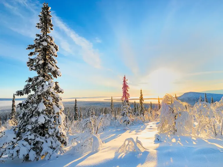 Schwedisch Lappland Wolters Rundreisen