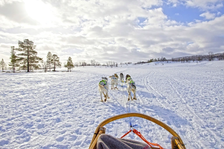 Huskysafari Finnland Wolters Rundreisen Winterreisen